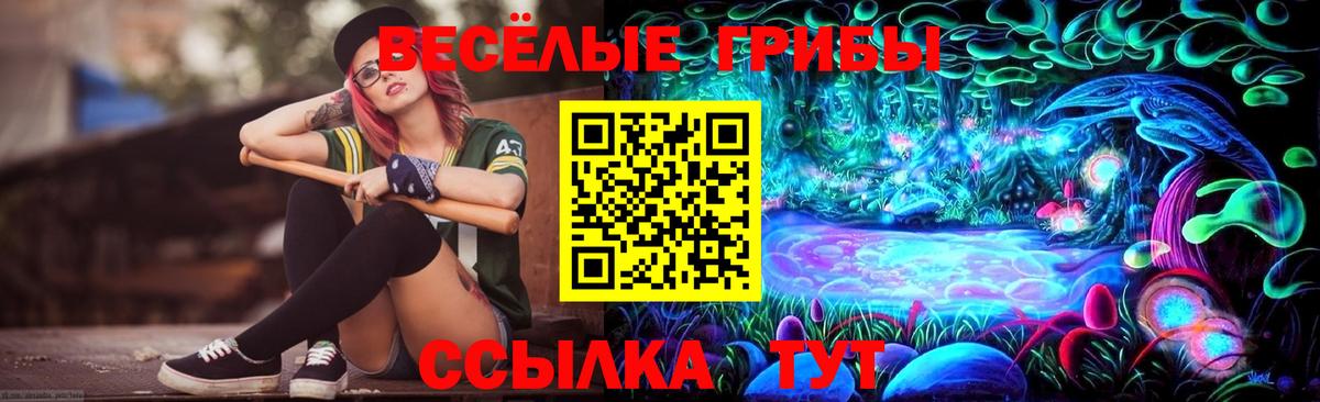 Александров  Галлюциногенные грибы MAGIC MUSHROOMS  Псилоцибиновые грибы мицелий  Вход с VPN 