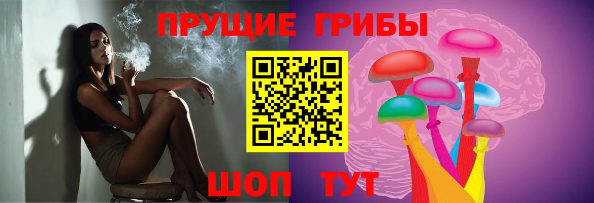 Галлюциногенные грибы MAGIC MUSHROOMS Александров
